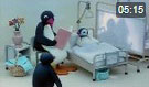 Pingu 47. Bölüm