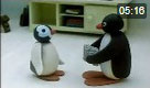 Pingu 62. Bölüm