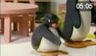 Pingu 107. Bölüm