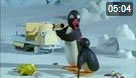 Pingu 117. Bölüm