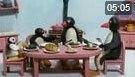 Pingu 126. Bölüm