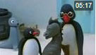 Pingu 76. Bölüm