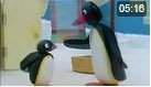 Pingu 96. Bölüm