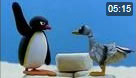 Pingu 97. Bölüm